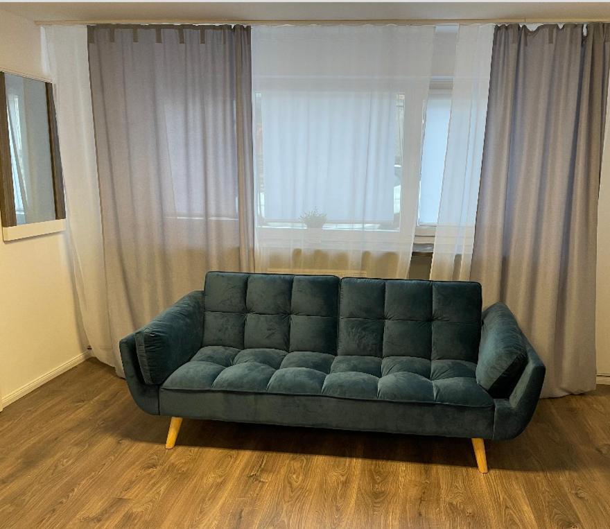 Sophie Deluxe Apartment Karlsruhe Buitenkant foto