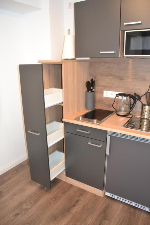 Sophie Deluxe Apartment Karlsruhe Buitenkant foto